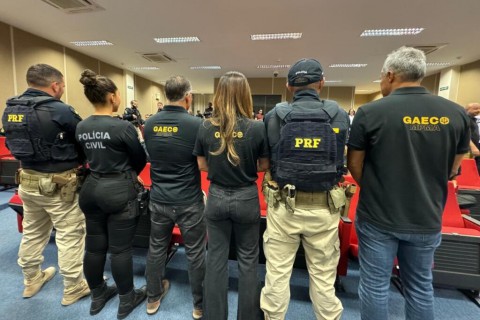 OPERAÇÃO REI DO GADO ( GAECO)